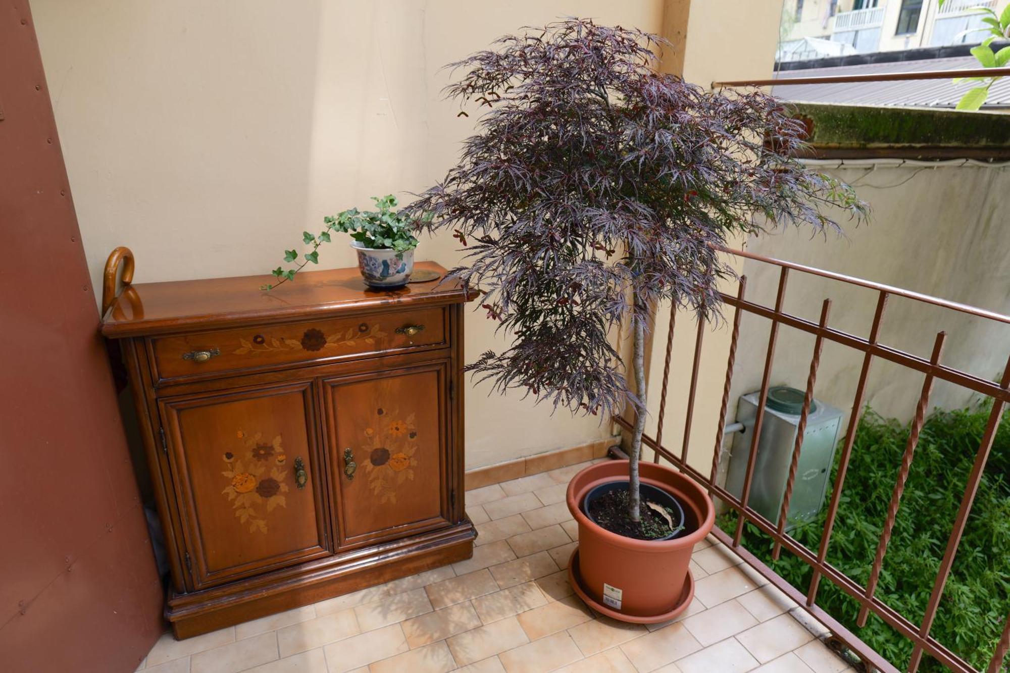 Coli'S House Bed & Breakfast Turin Exterior photo